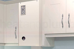 Ivy Todd electric boiler quotes